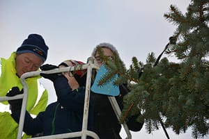 Wihnachtsbaum_2015_06